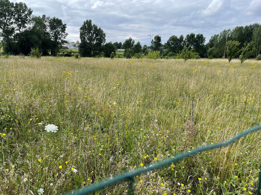 Terrain à COGNAC