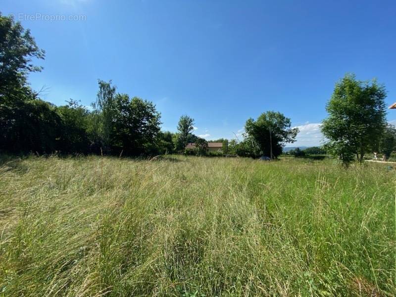 Terrain à HOSTUN