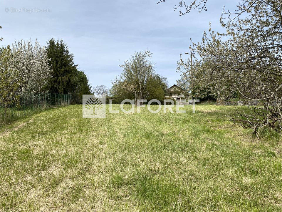 Terrain à COUSANCE