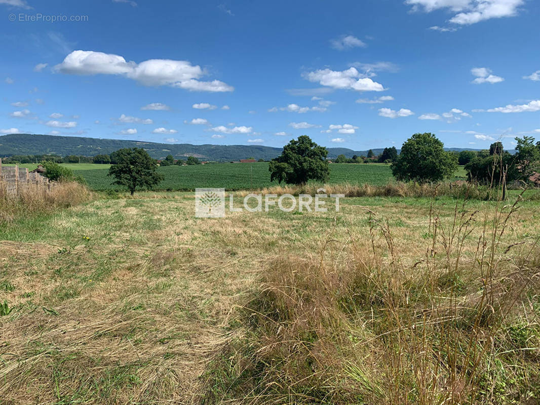 Terrain à COUSANCE