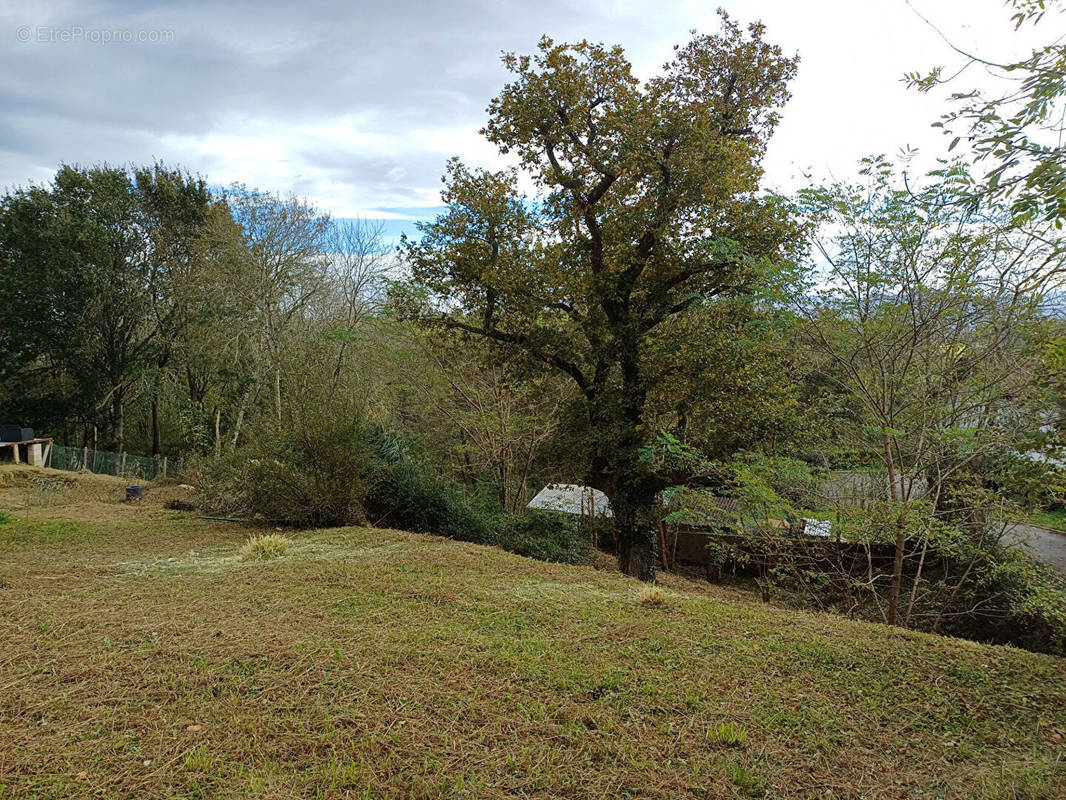 Terrain à SAINT-PEE-SUR-NIVELLE