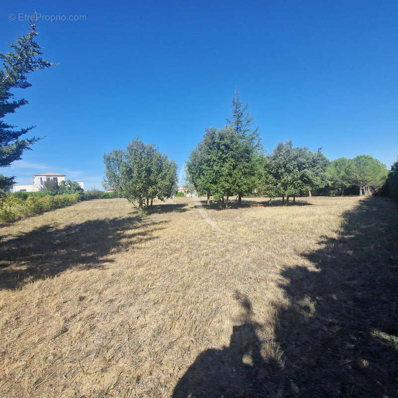 Terrain à CARCASSONNE