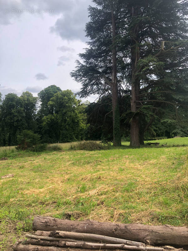 Terrain à LA FERTE-SOUS-JOUARRE