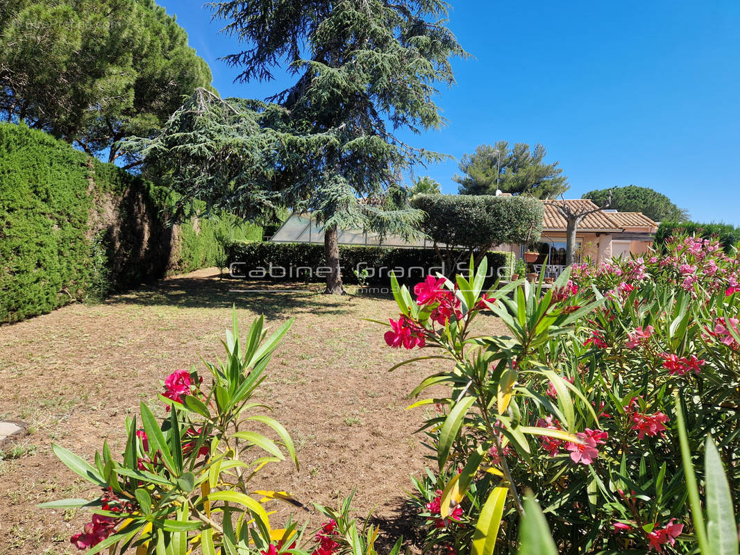 Maison à AGDE