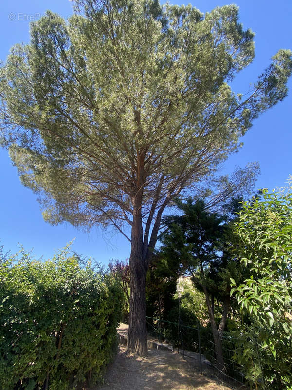 Appartement à AUBAGNE