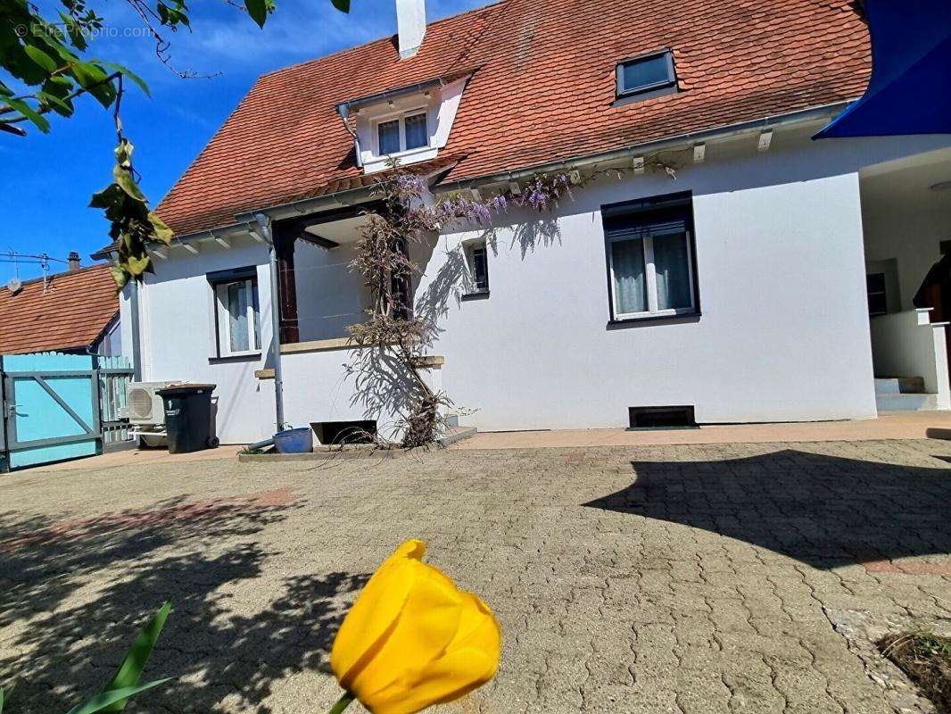 Maison à OBERHOFFEN-SUR-MODER