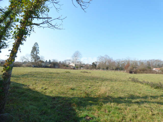 Maison à LANNEMEZAN