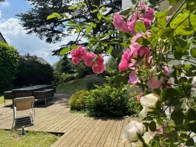 Appartement à MONTLIGNON