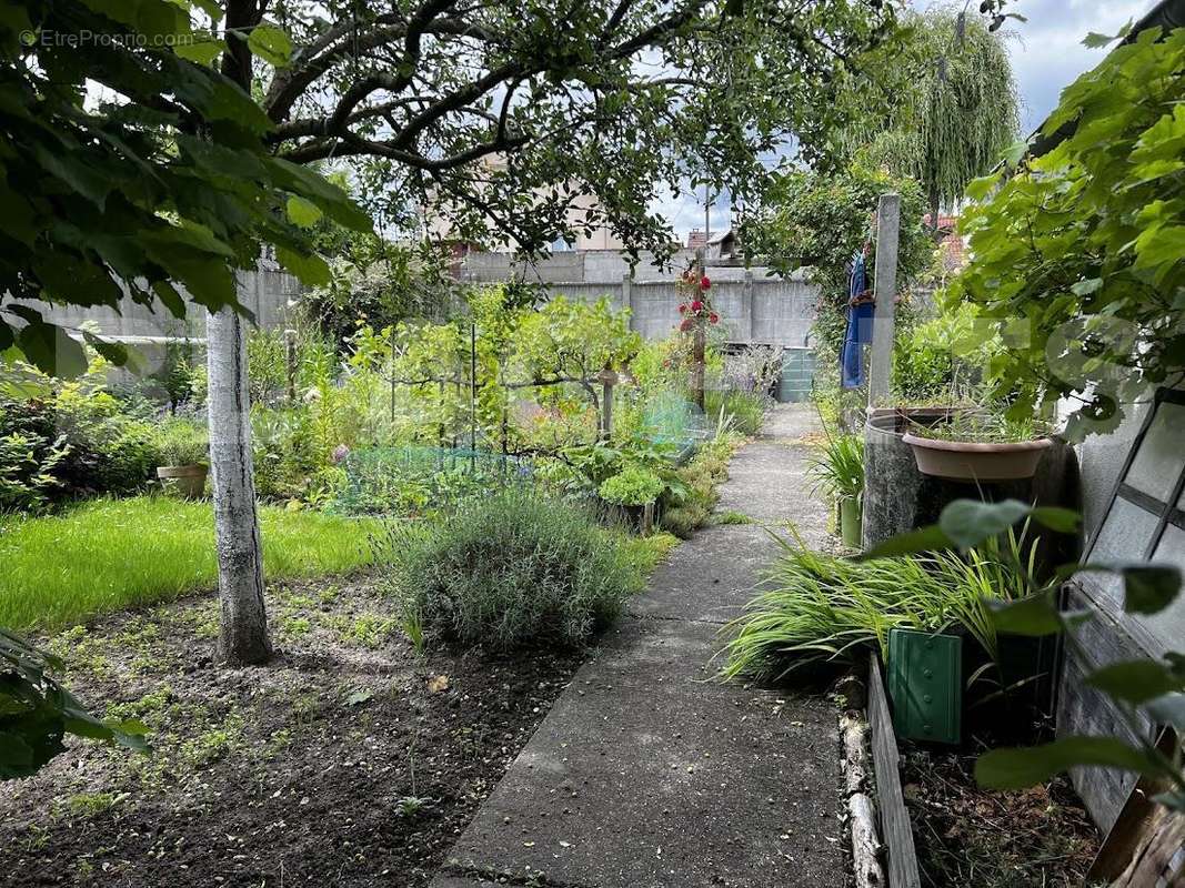 JARDIN - Maison à MAROLLES-EN-HUREPOIX