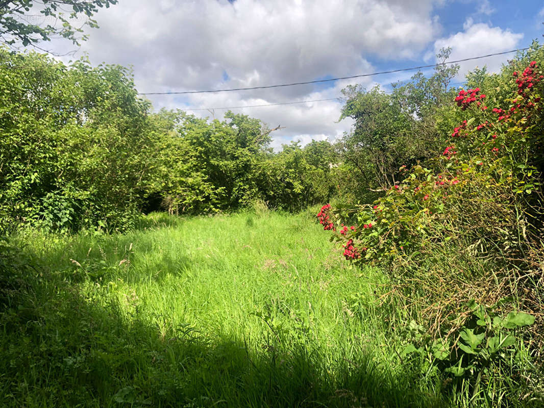 Terrain à CROUY-SUR-OURCQ