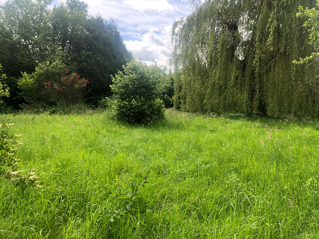 Terrain à CROUY-SUR-OURCQ