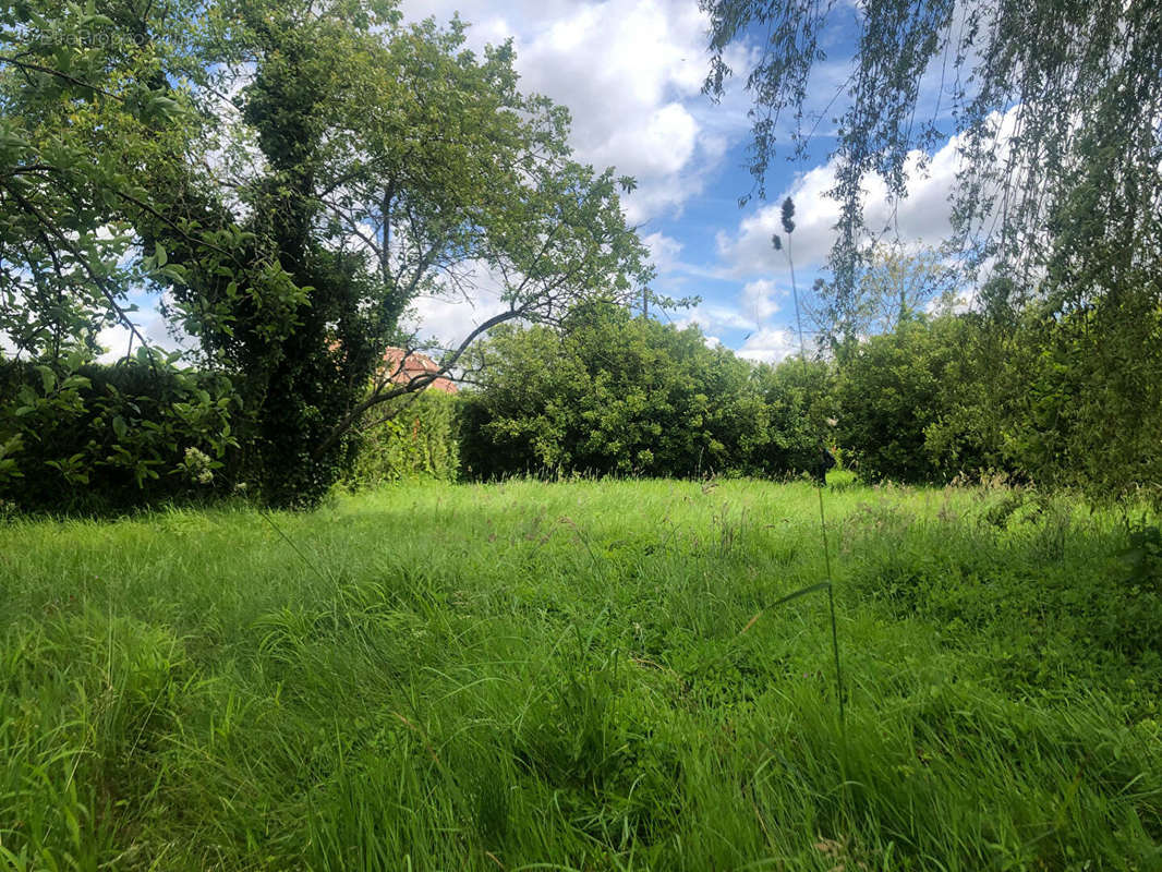 Terrain à CROUY-SUR-OURCQ