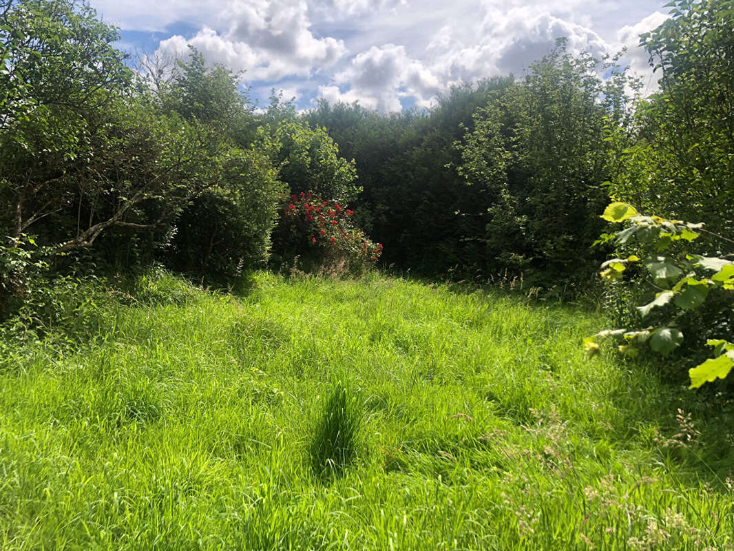 Terrain à CROUY-SUR-OURCQ