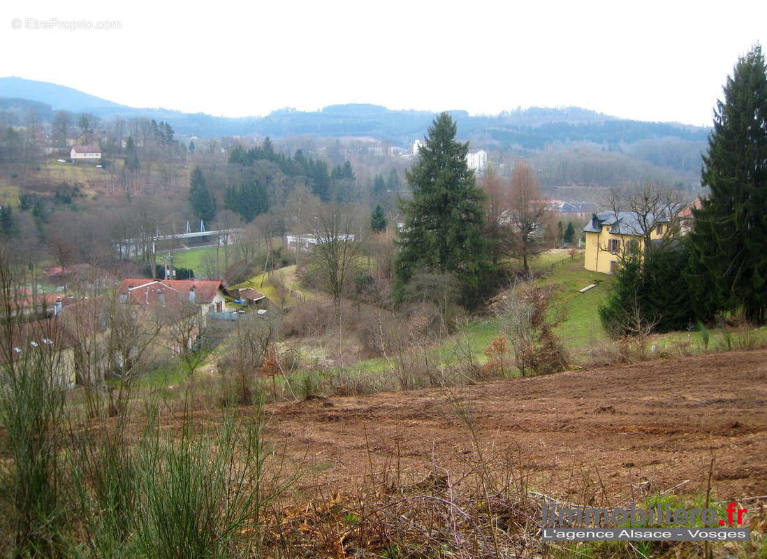 Terrain à SAINT-DIE-DES-VOSGES