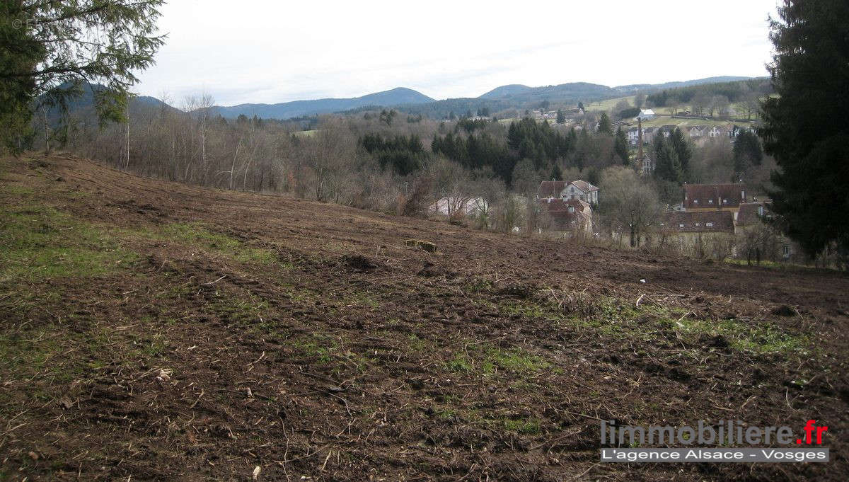 Terrain à SAINT-DIE-DES-VOSGES