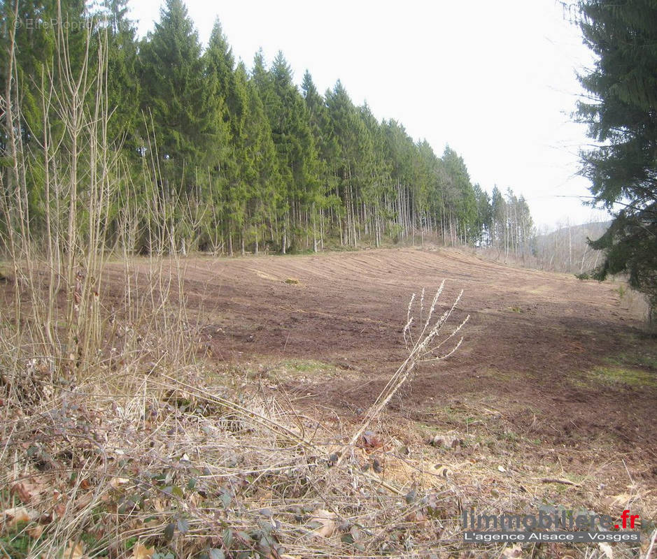 Terrain à SAINT-DIE-DES-VOSGES