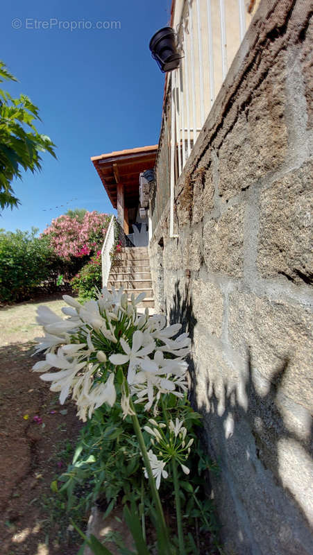 Maison à PORTO-VECCHIO