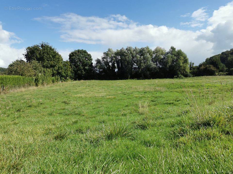 Terrain à LIERCOURT