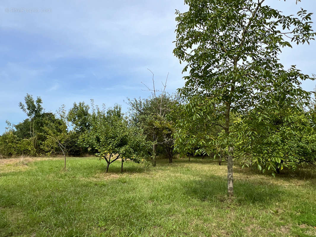 Maison à LANVALLAY