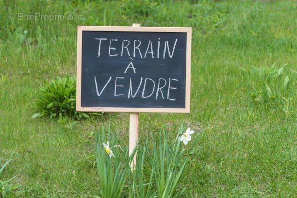 Terrain à CERANS-FOULLETOURTE