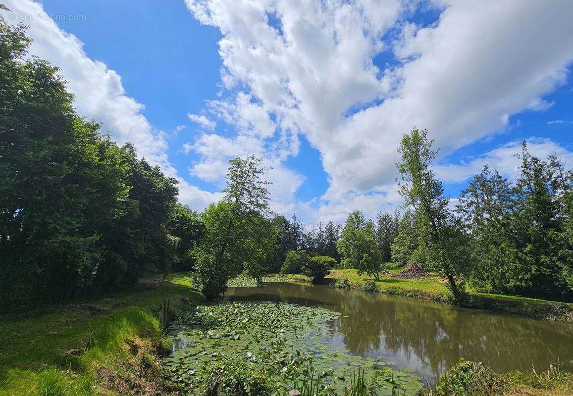 Terrain à ETIVAL-LES-LE-MANS