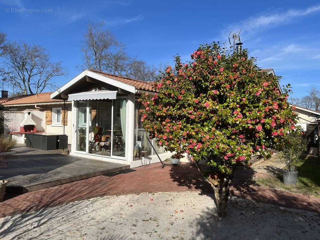 Maison à LEGE-CAP-FERRET