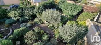 JARDIN ARBORE - Maison à BEZIERS