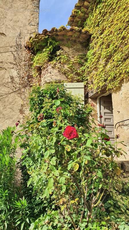 Maison à COTIGNAC