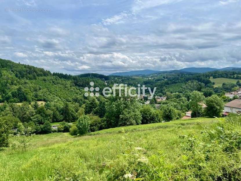 Terrain à LA MONNERIE-LE-MONTEL