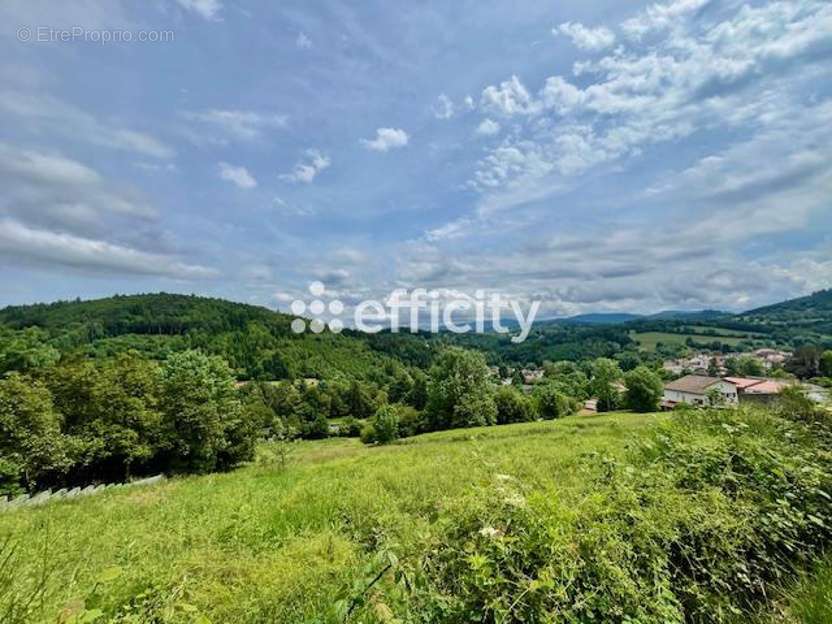 Terrain à LA MONNERIE-LE-MONTEL