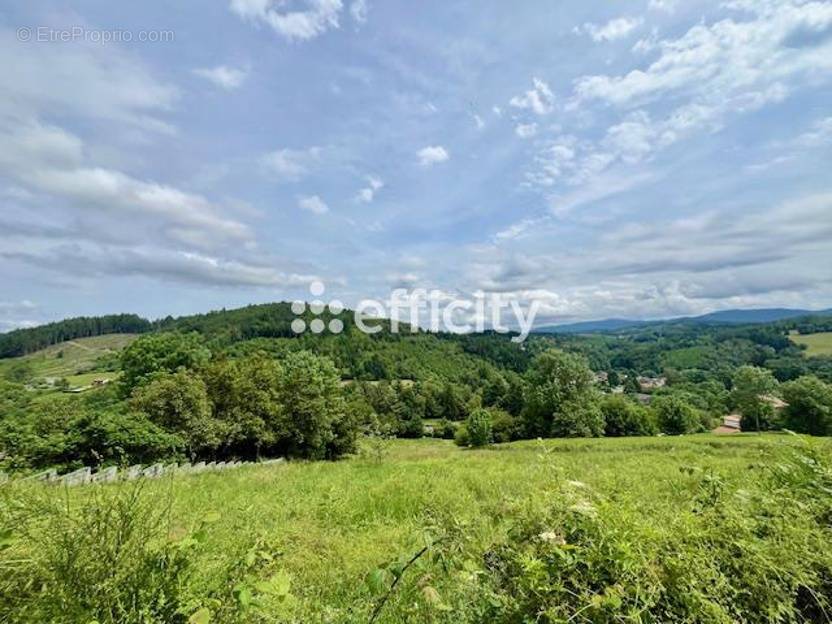 Terrain à LA MONNERIE-LE-MONTEL