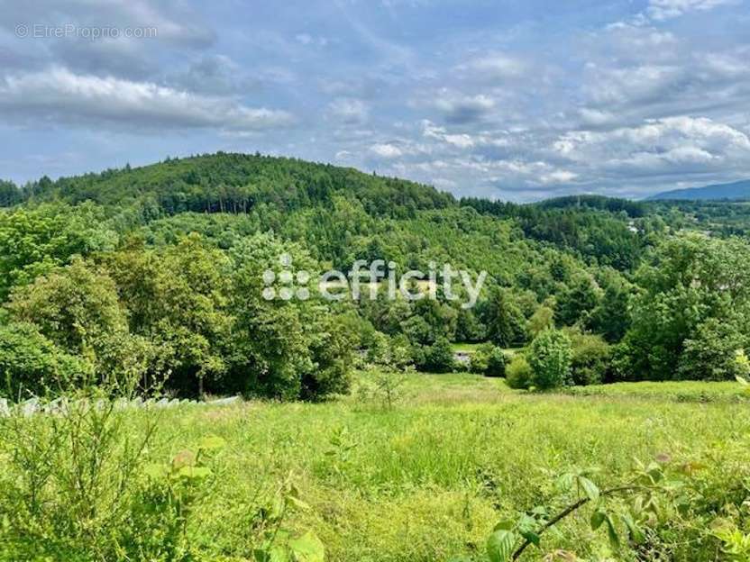 Terrain à LA MONNERIE-LE-MONTEL