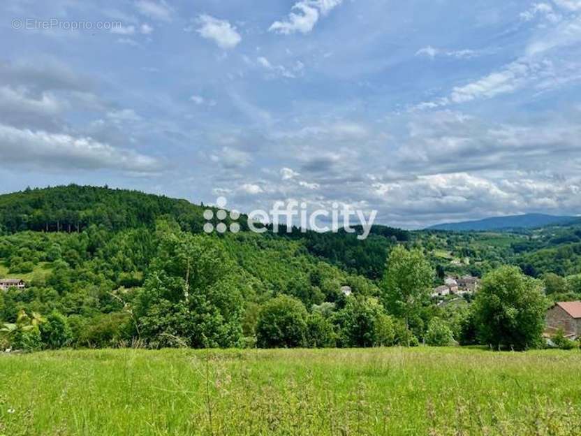 Terrain à LA MONNERIE-LE-MONTEL