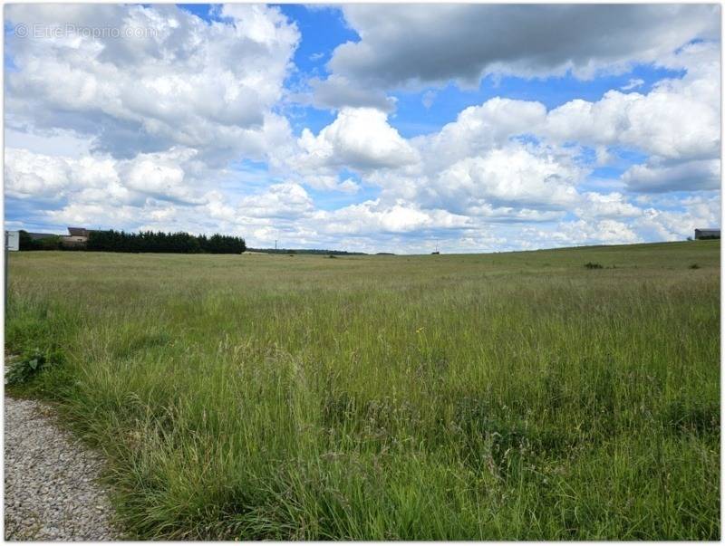 Terrain à LERRAIN