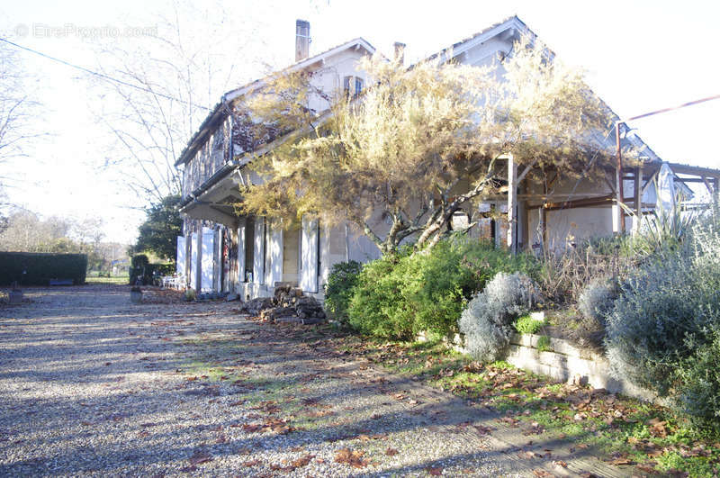 Maison à MONTREAL