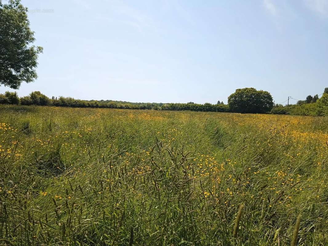 Terrain à BRETEUIL