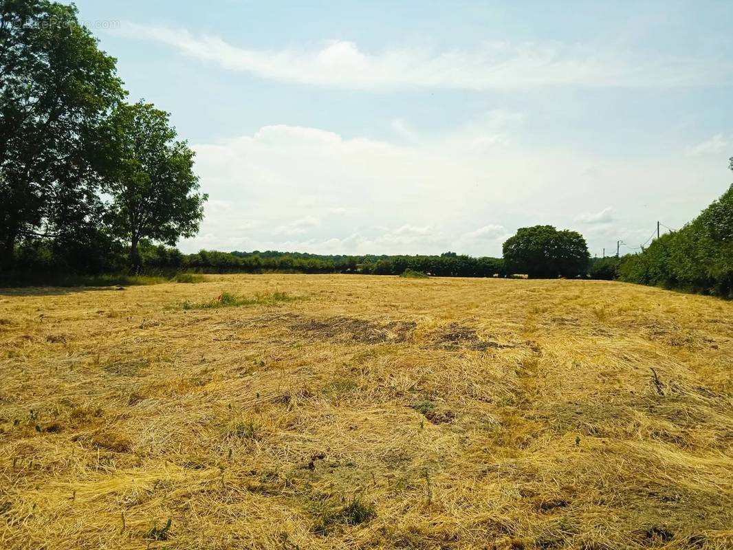 Terrain à CONDE-SUR-ITON