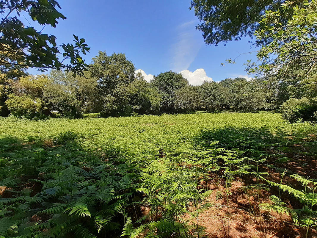 Terrain à BRECH