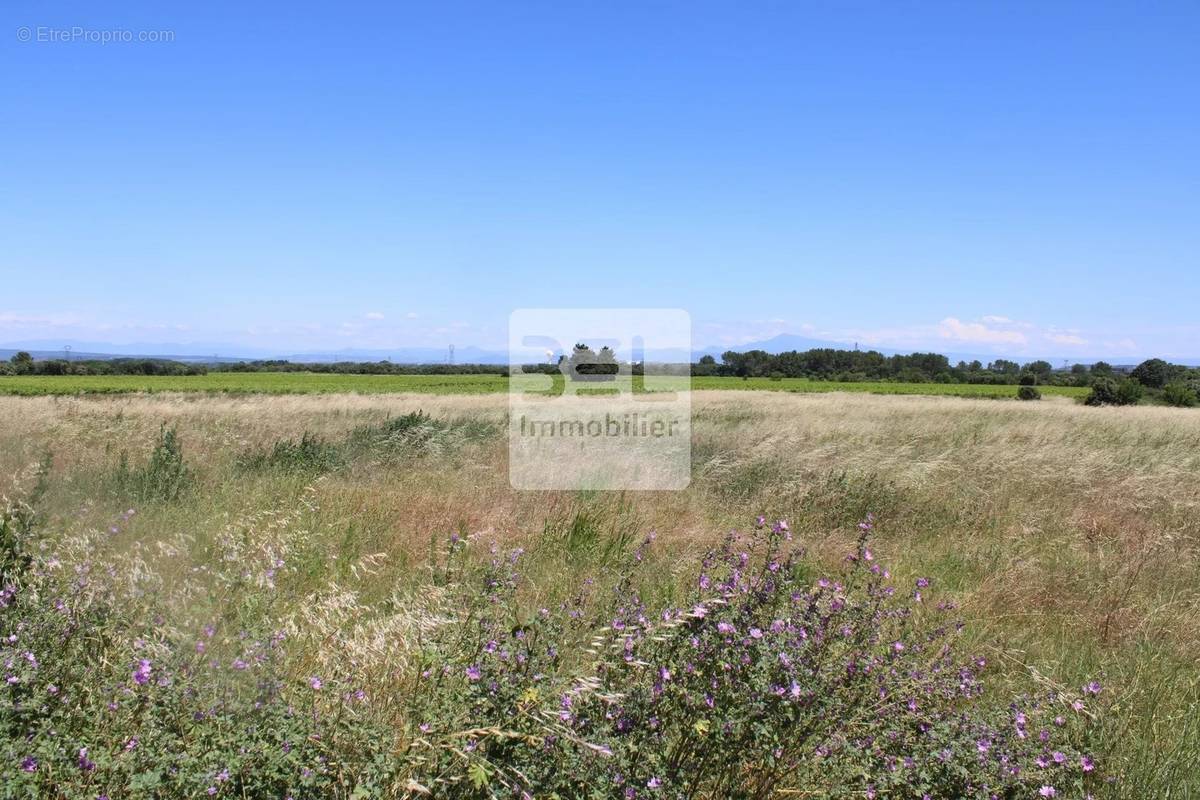 Terrain à LAUDUN-L&#039;ARDOISE