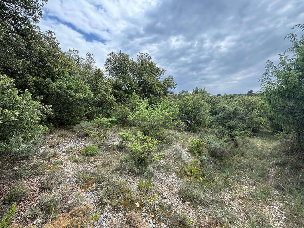 Terrain à BLAUVAC