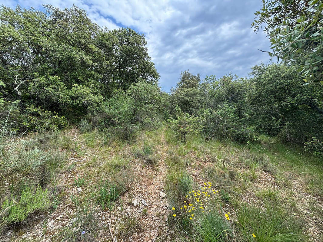 Terrain à BLAUVAC