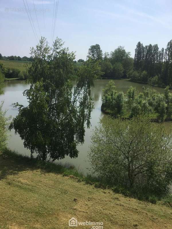 Parcelle de 10340m2 - Terrain à MONTOURNAIS