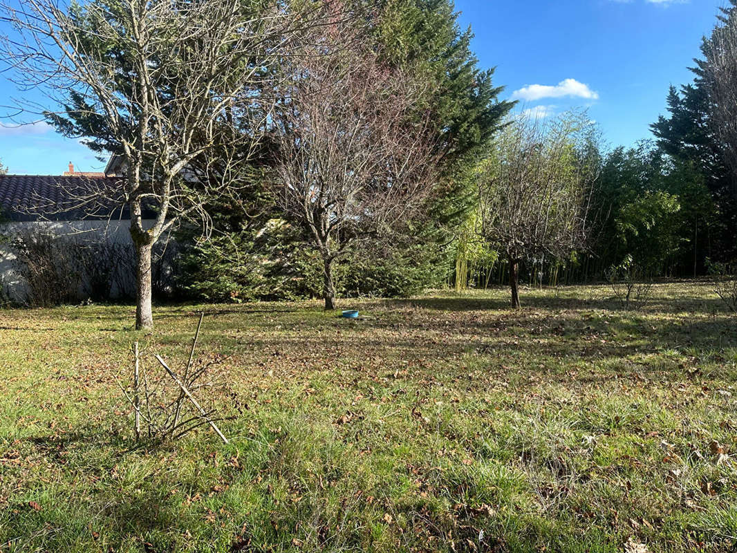 Terrain à GREZIEU-LA-VARENNE