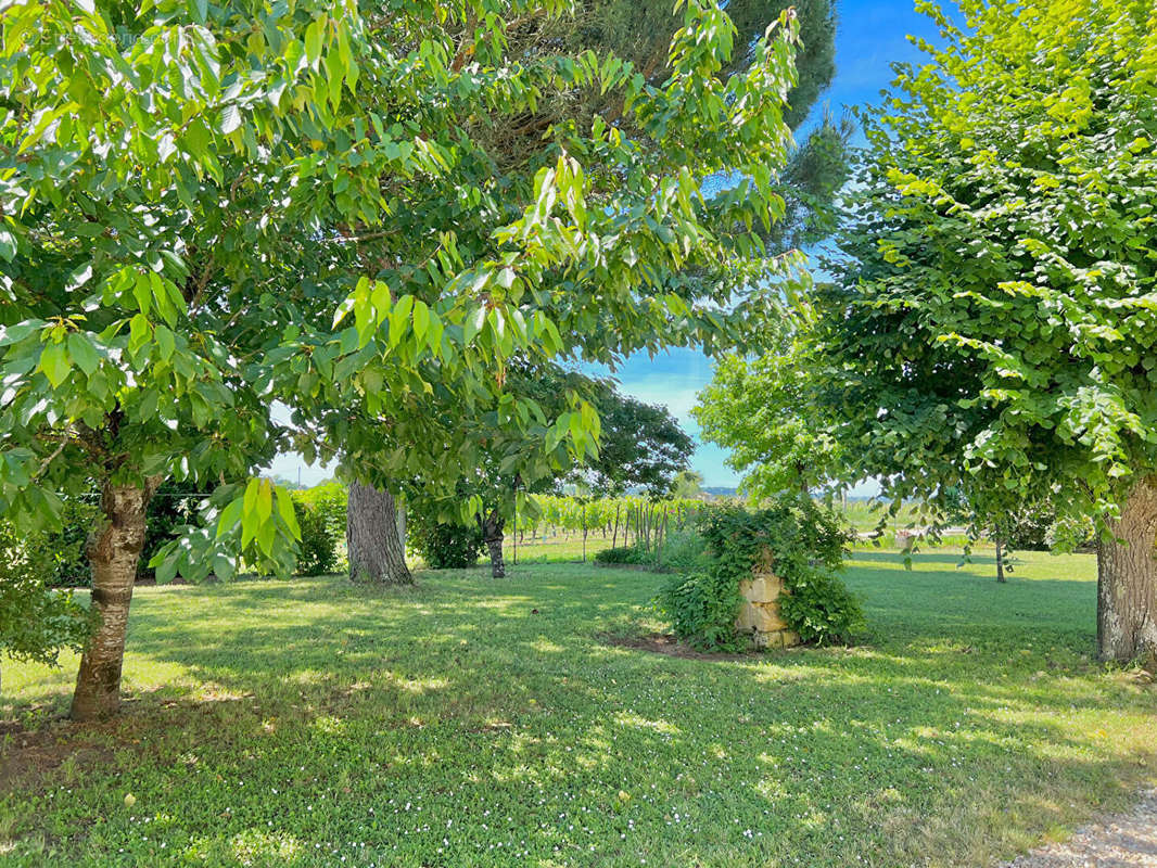 Maison à SAINT-EMILION