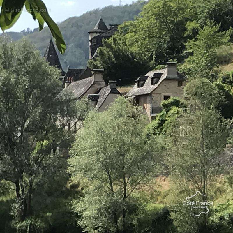 Maison à VIEILLEVIE