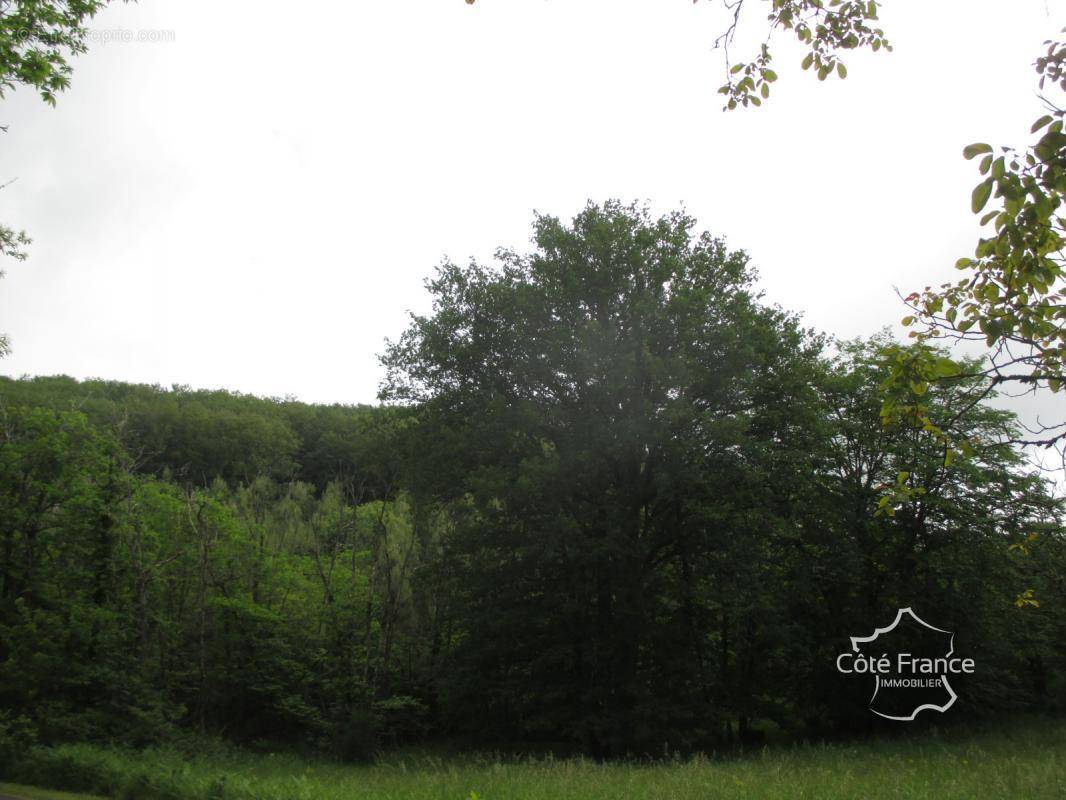 Terrain à SAINTE-FOY-DE-BELVES