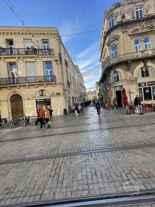 Commerce à MONTPELLIER