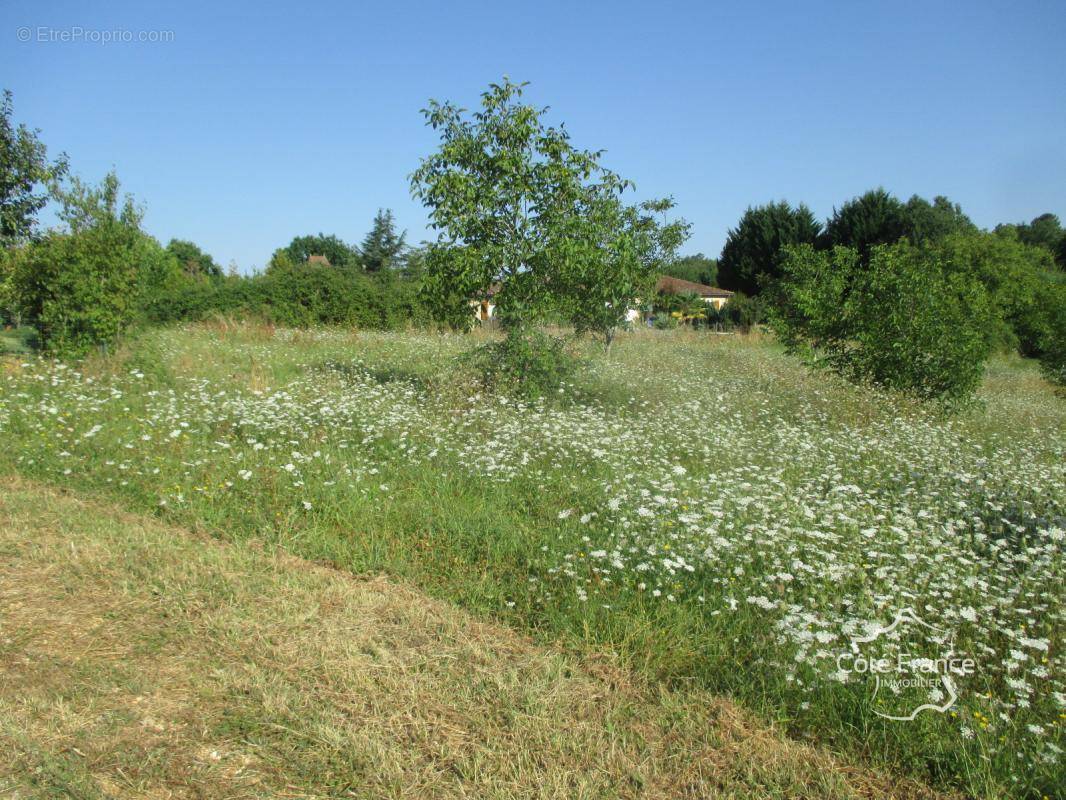 Terrain à COUX-ET-BIGAROQUE