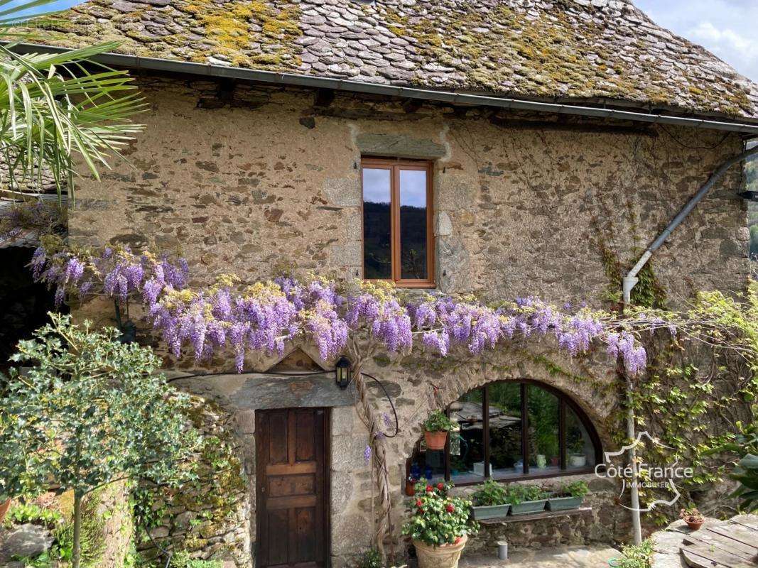 Maison à VIEILLEVIE