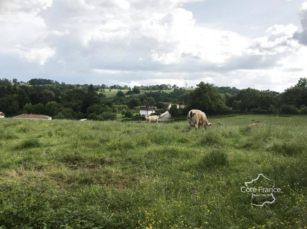 Terrain à BAGNAC-SUR-CELE